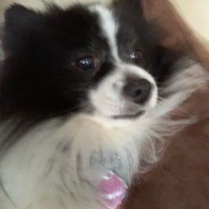 Meet your Posher, Flora